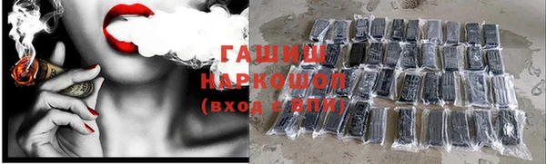 гидра Зеленодольск